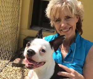 Dog Boarding Jacksonville Fl